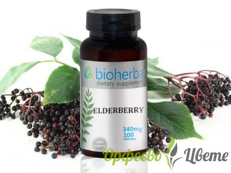 ХРАНИТЕЛНИ ДОБАВКИ Повишаване на имунитета Бъз 340 mg, 100 капсули Elderberry